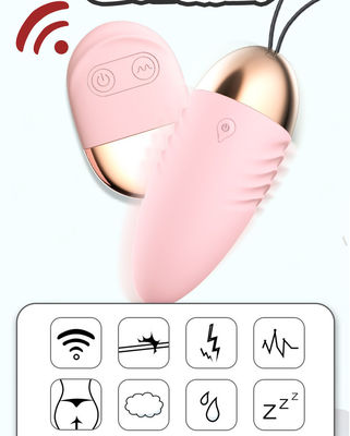 Vibrating Egg Remote Sex Vibrator 10 Speeds Control Balls Wireless Vibrator For Women