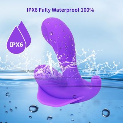 14cm Waterproof Bluetooth Vibrator Sex Toy Rechargeable Vibrating Panties For Women