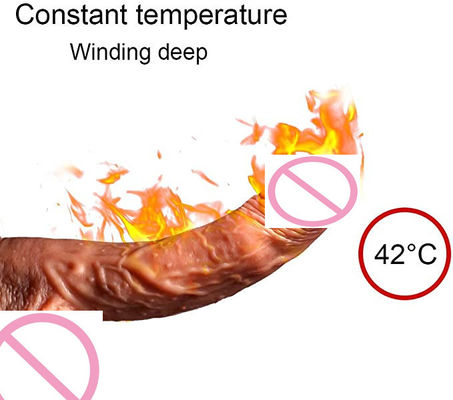 520g Suction Cup Remote Sex Vibrator Sex Toy Dildos For Women Masturbating