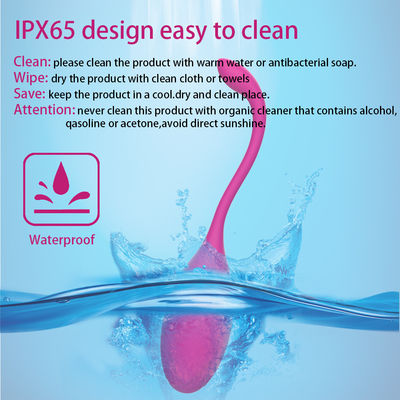 Joy On Vibrating Kegel Ball Vibrating Vaginal Balls For Women