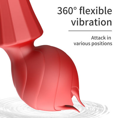 USB Charge Big G Spot Vibrator 24cm Pussy Handheld Vibrator Sexy 238g
